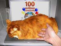 Firefox on computer.